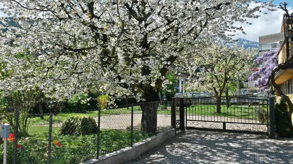 Apartament Casa Ferrari Monica Calceranica al Lago Zewnętrze zdjęcie
