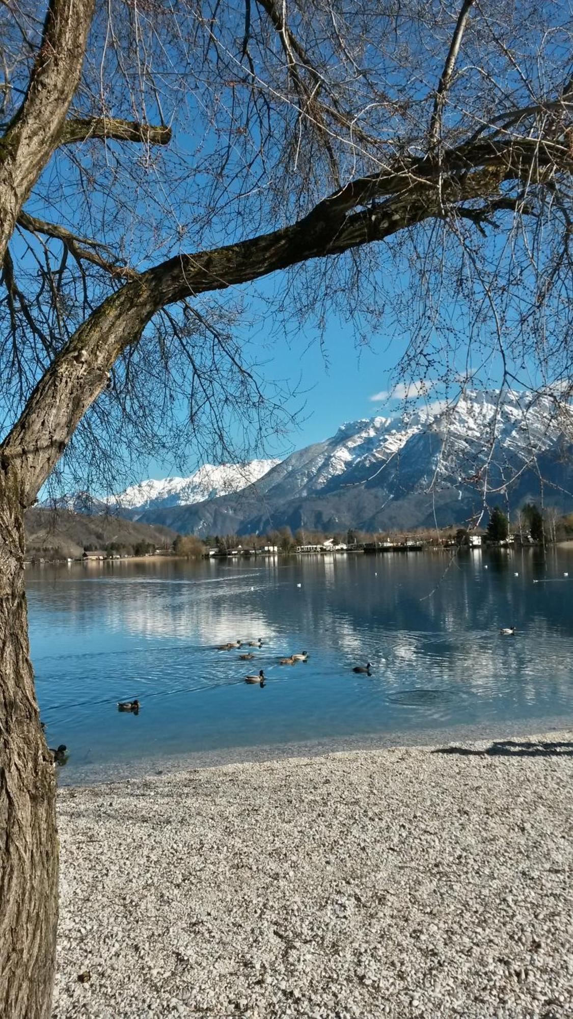 Apartament Casa Ferrari Monica Calceranica al Lago Zewnętrze zdjęcie